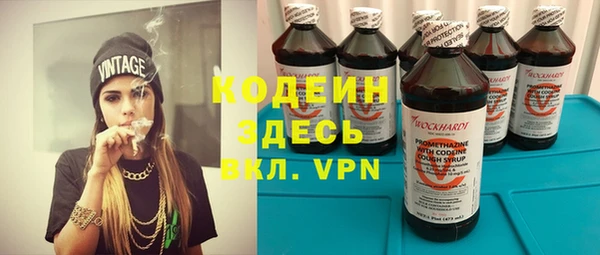 шишки Гусь-Хрустальный