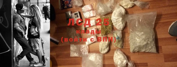 шишки Гусь-Хрустальный