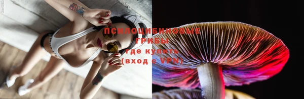 mdpv Горняк