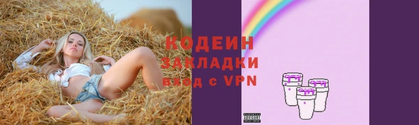 шишки Гусь-Хрустальный