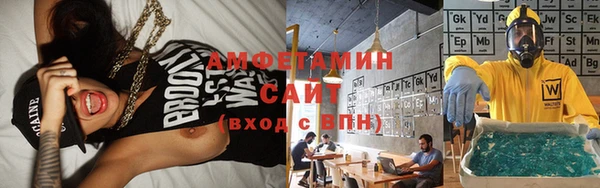 шишки Гусь-Хрустальный