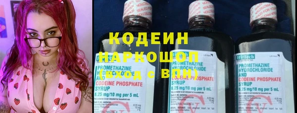 шишки Гусь-Хрустальный