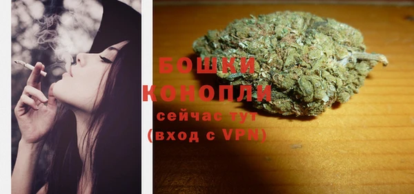 шишки Гусь-Хрустальный